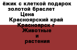 `ёжик с клеткой подарок золотой браслет 585 › Цена ­ 5 000 - Красноярский край, Красноярск г. Животные и растения » Другие животные   . Красноярский край